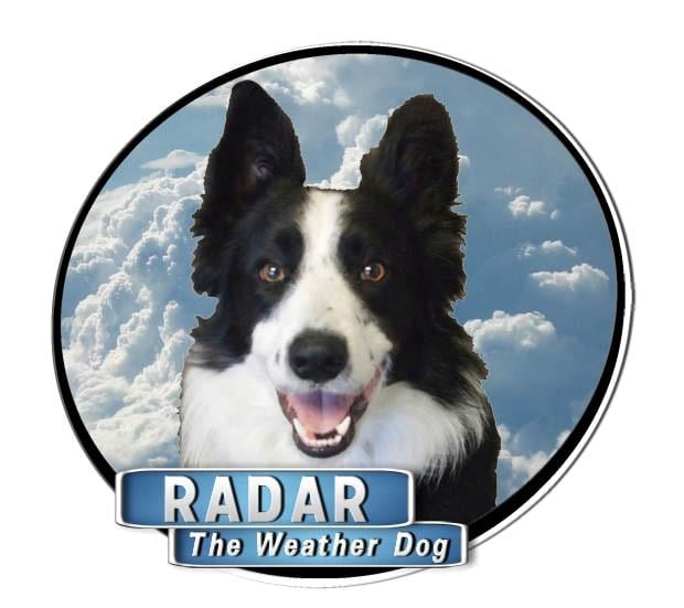 weather dog